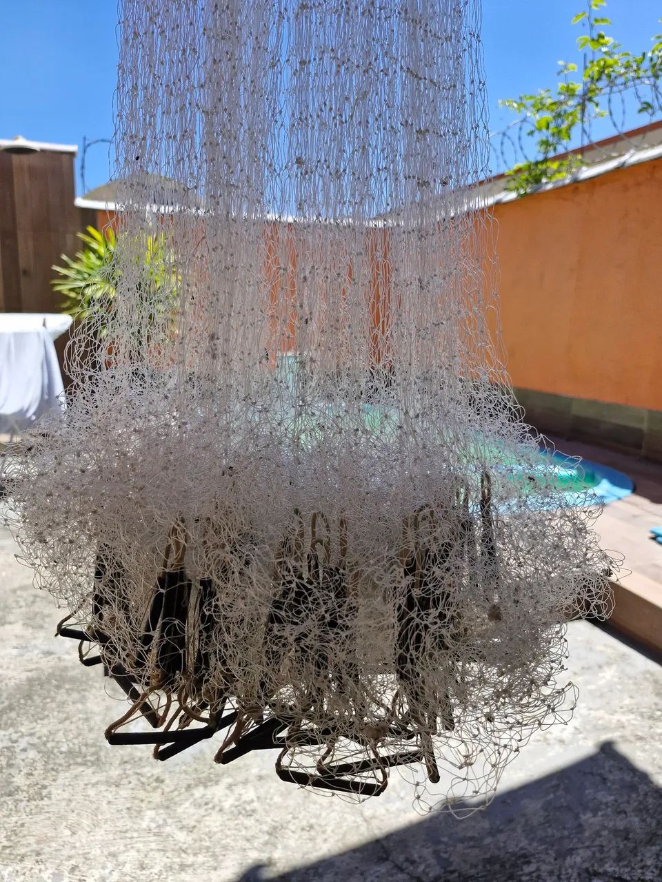 Tarrafa de peixe profissional  - Foto 4