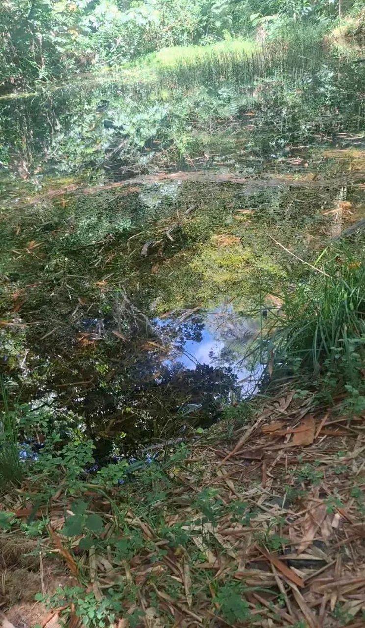 Terreno em aldeia  - Foto 4