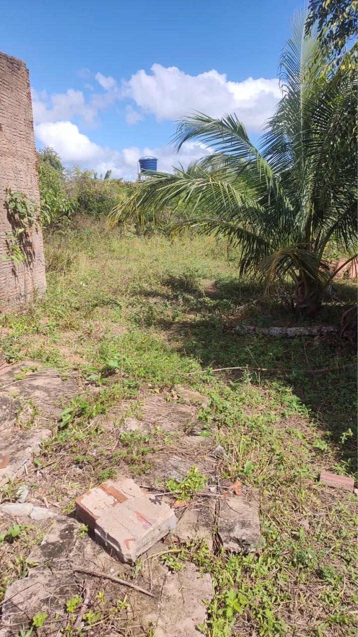 Sítio para vender  - Foto 2