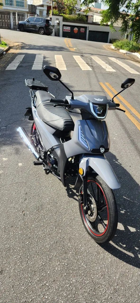 Phoenix s efi 