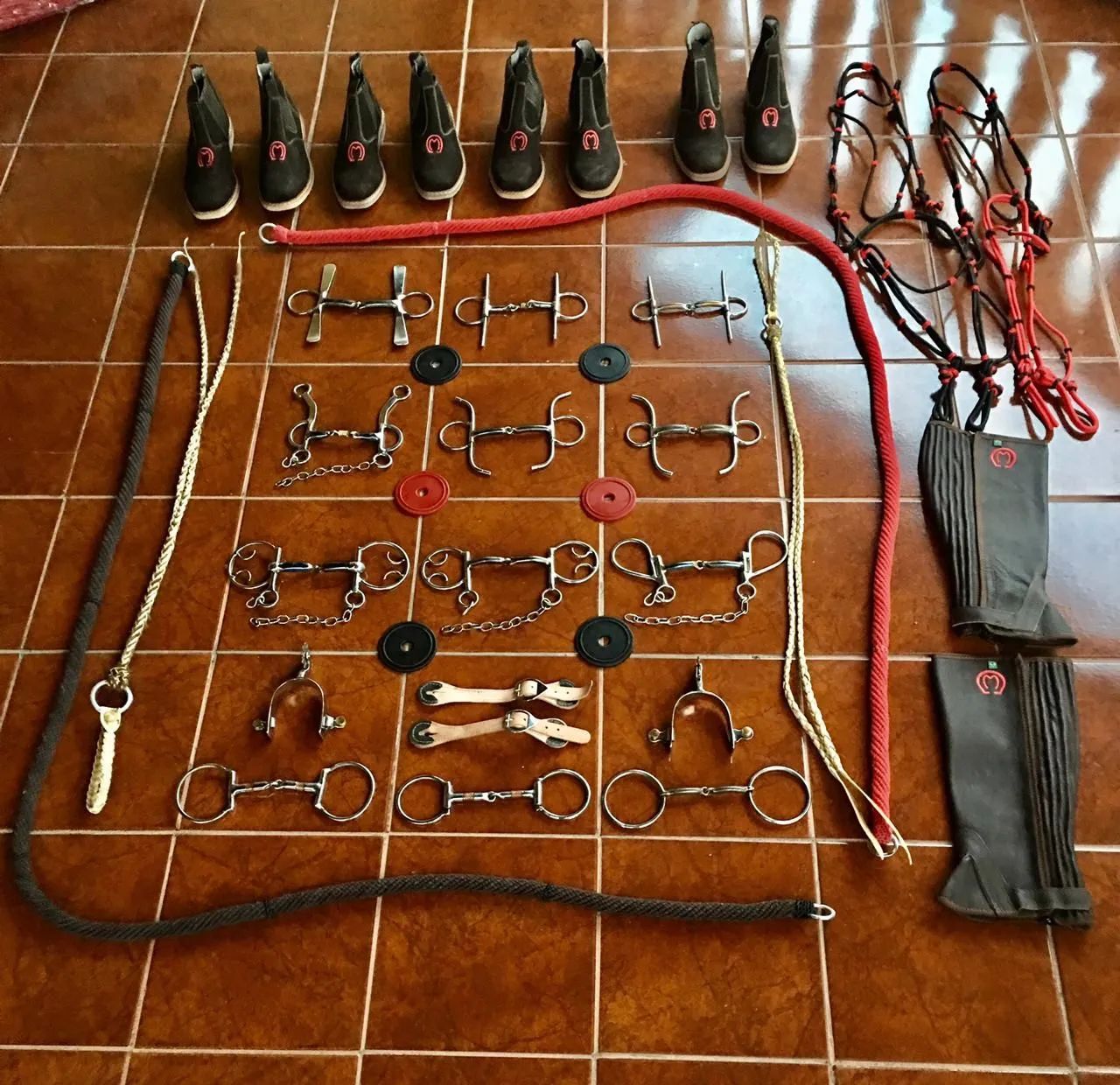 Selas Pista Nova - Foto 5