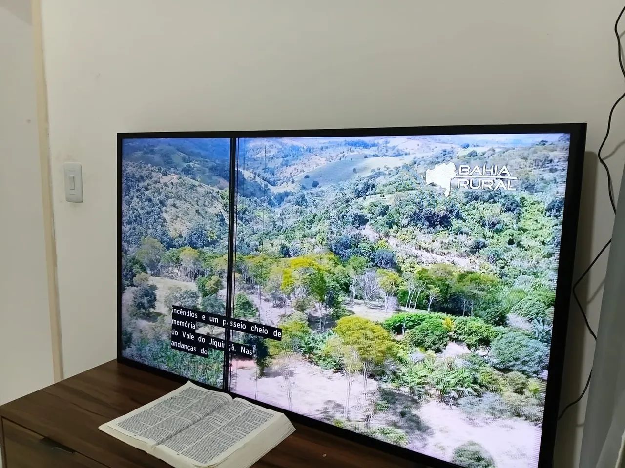 TV 