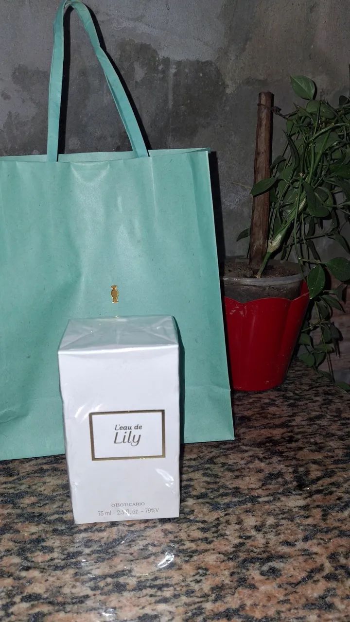 PROMOCAO LEAU DLILY - Foto 3
