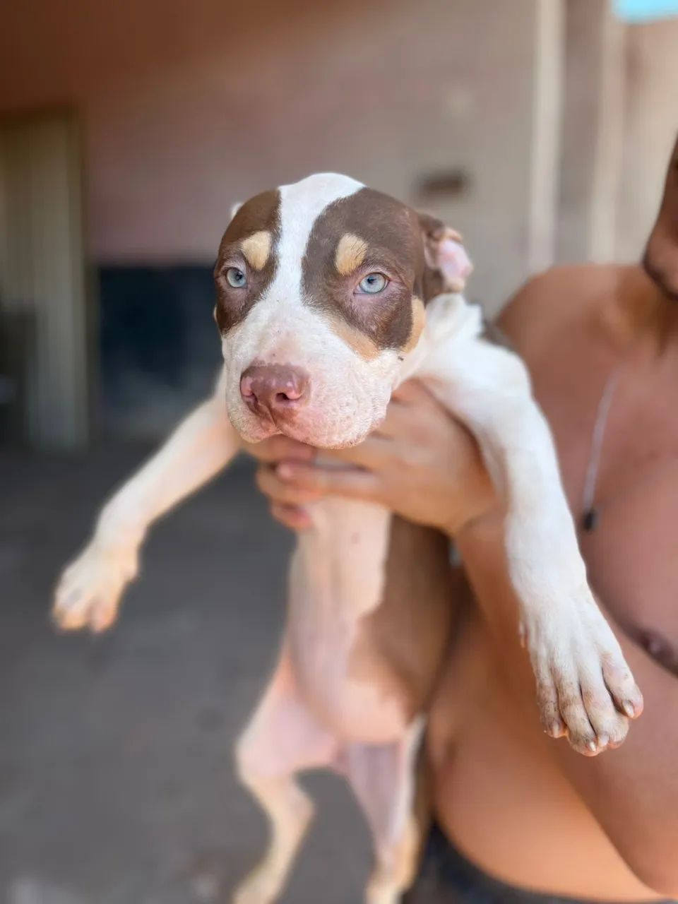 Pit monster 