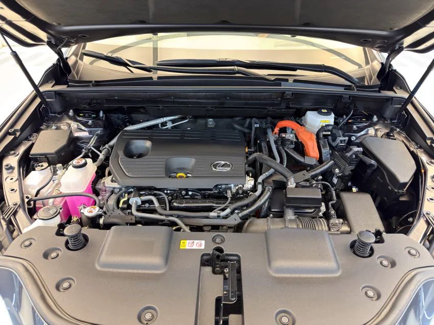 Lexus NX-350h Luxury 2.5 16V Aut. (hybrid), foto 6 de 19