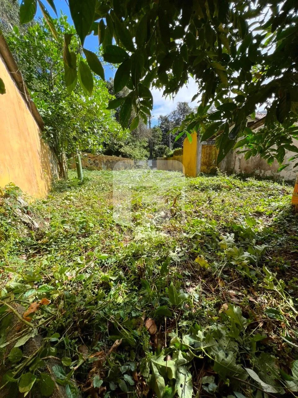 Terreno à venda no Rio Tavares - Foto 5