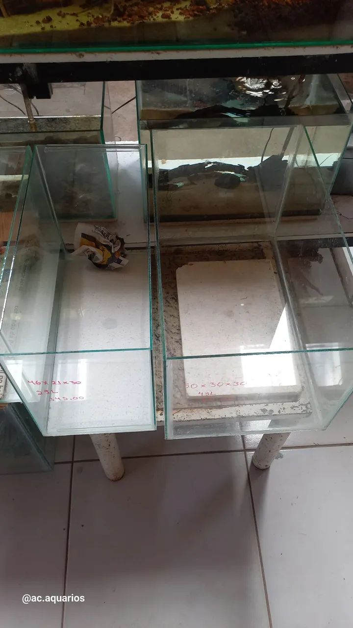 Aquários de diversos tamanhos  - Foto 4
