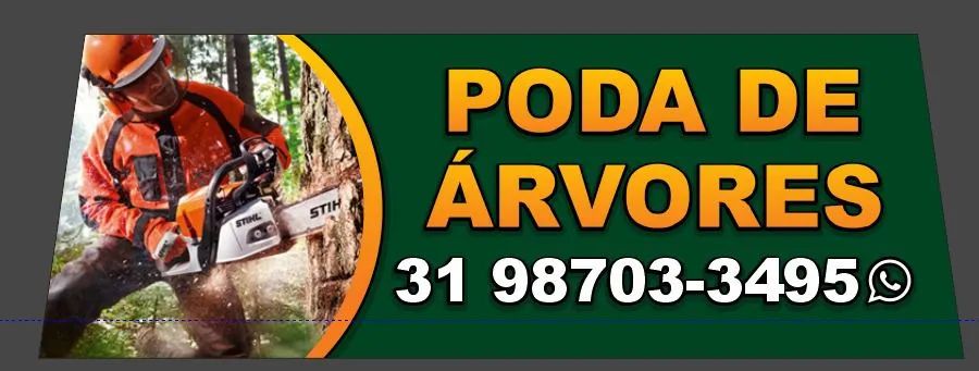 Corte e poda de árvore em geral - Foto 2