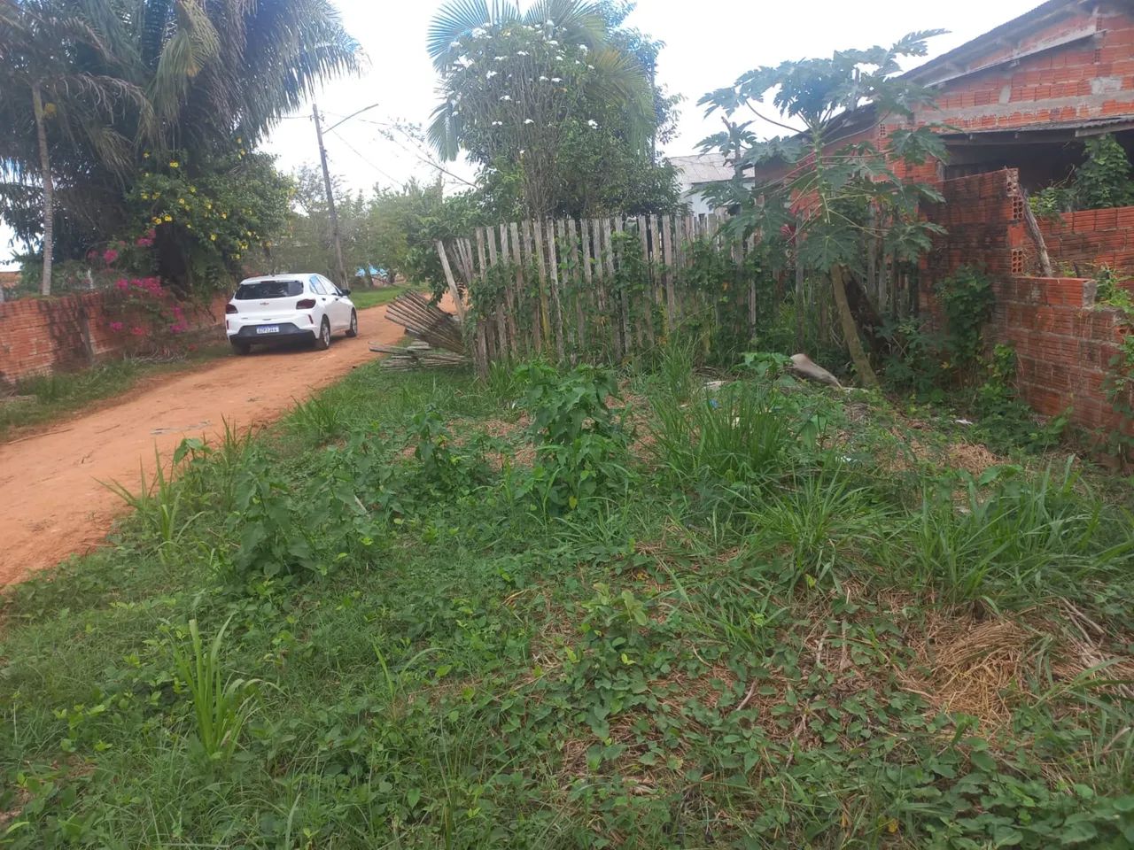 Terreno Ramal Herculano - Foto 3