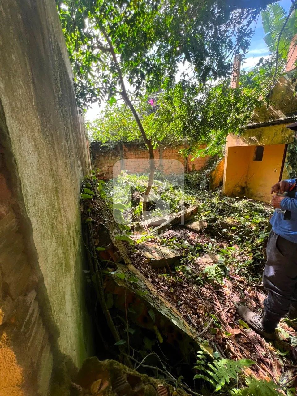 Terreno à venda no Rio Tavares - Foto 2