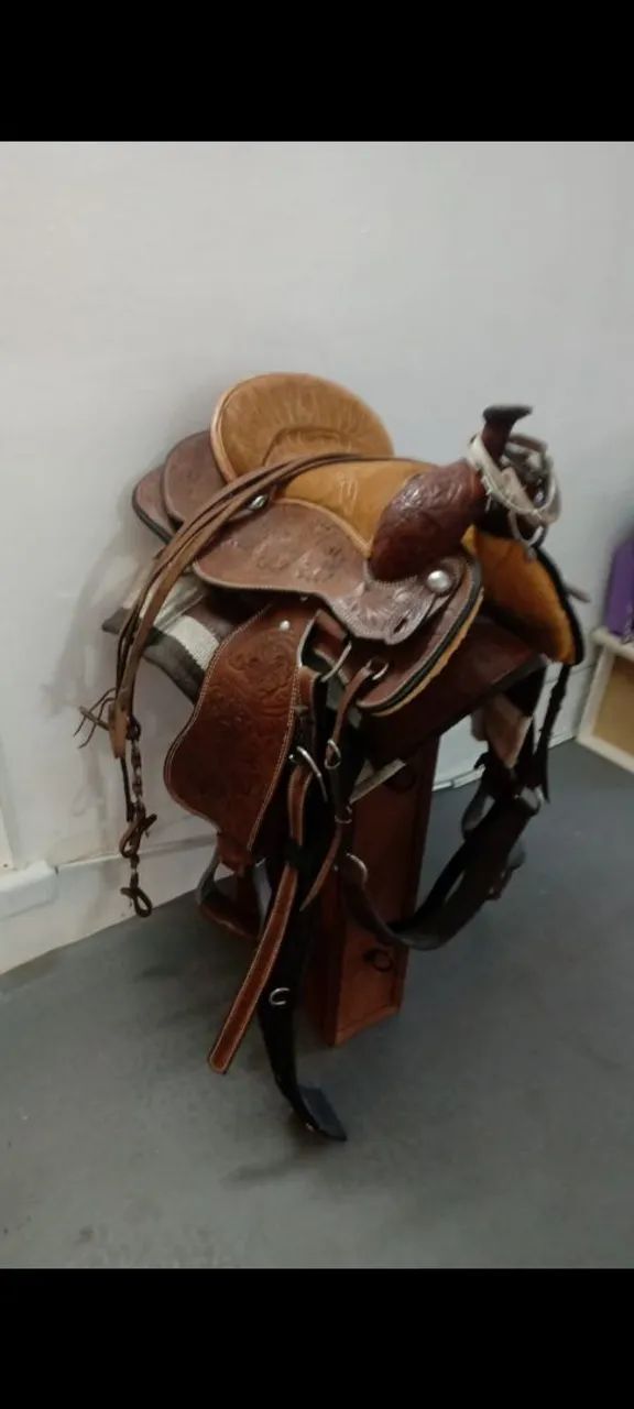 Cela de montaria  - Foto 2