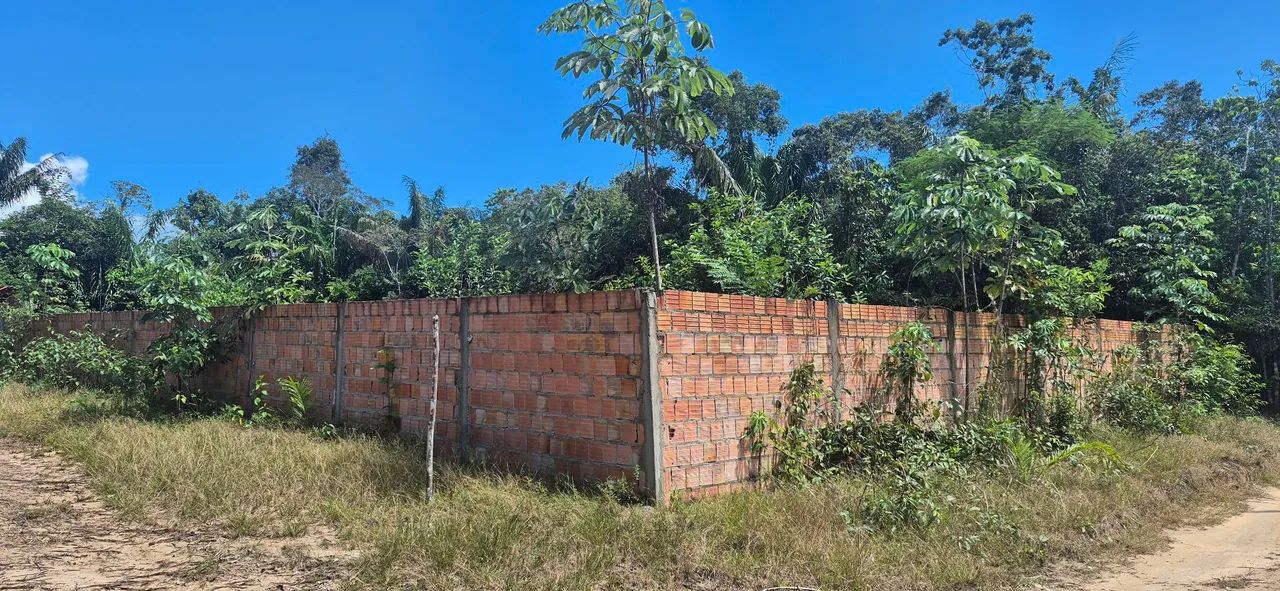Terreno próximo ao Paricatuba  - Foto 2