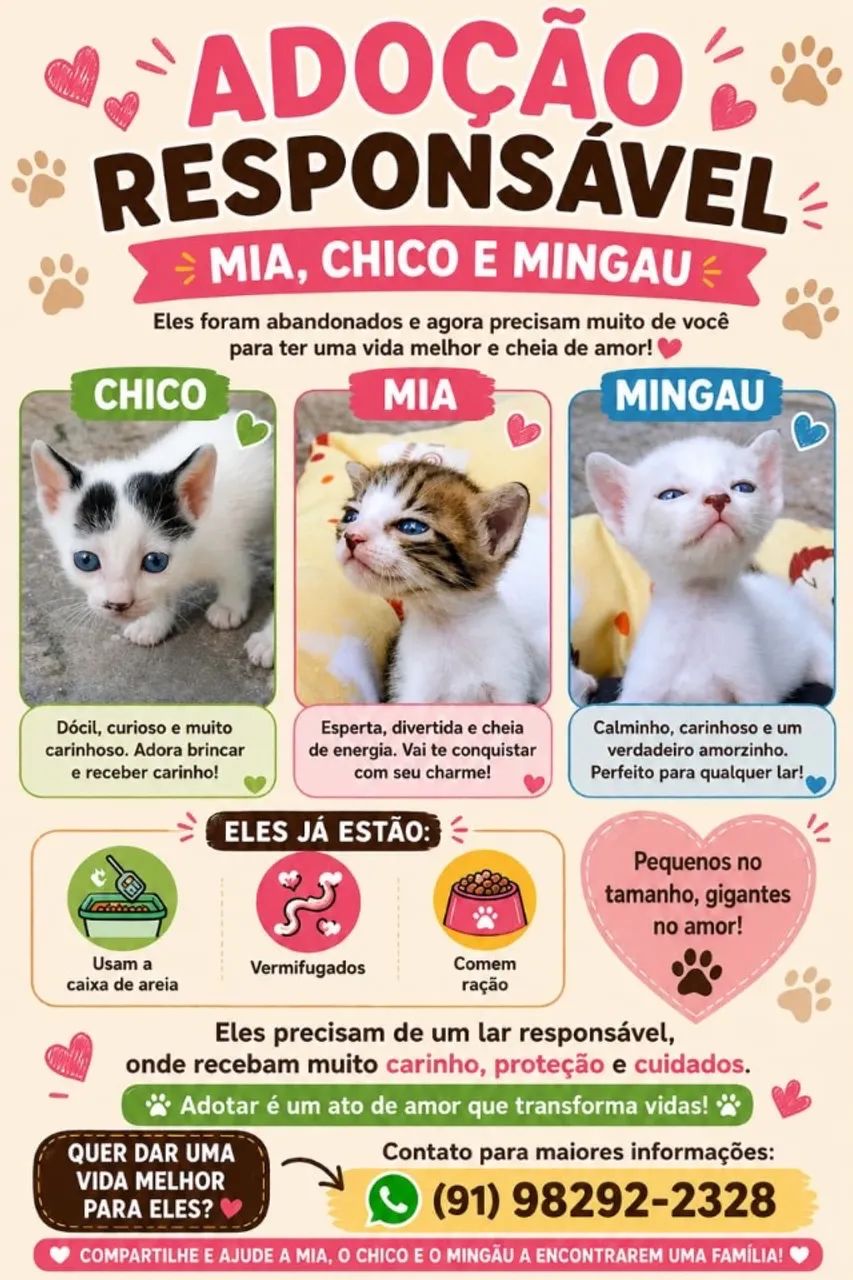 Gatinhos  - Foto 4