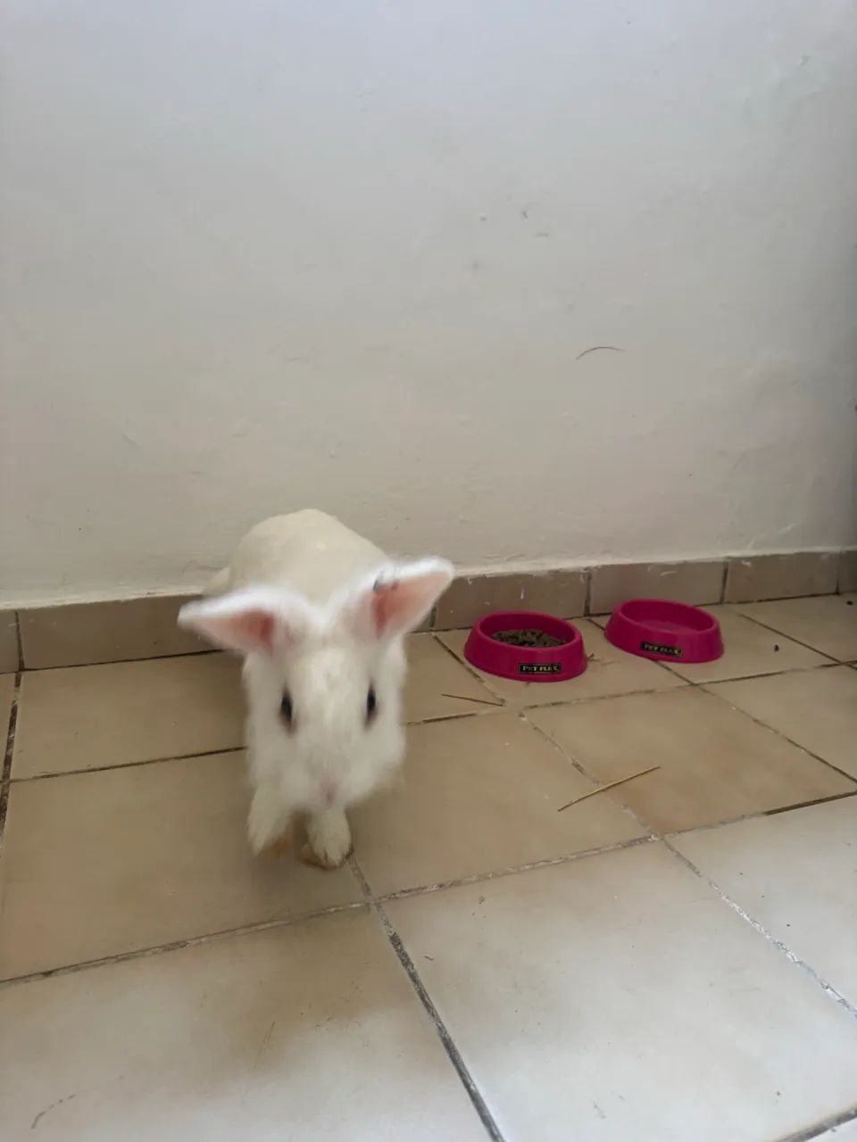 doação responsável  - Foto 3