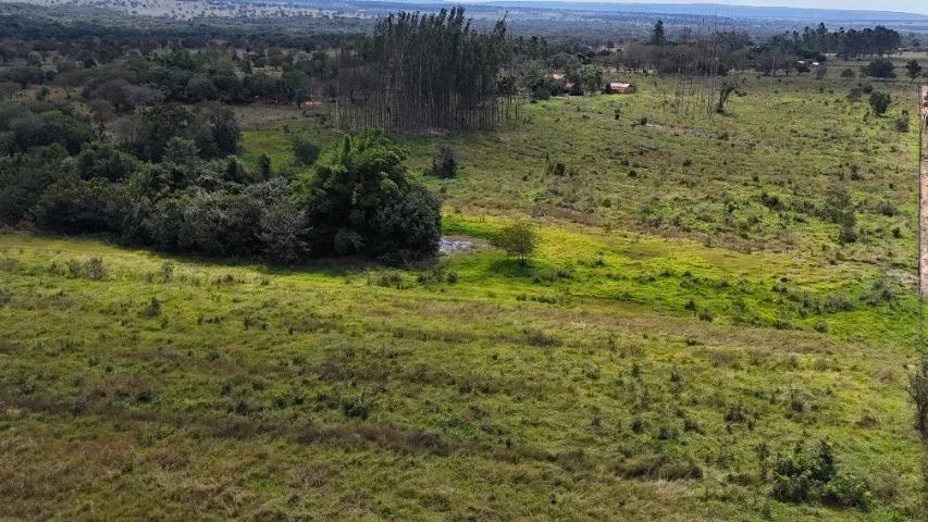 Chácara de 18 Hectares com Rio Barreirão!!!! - Foto 4