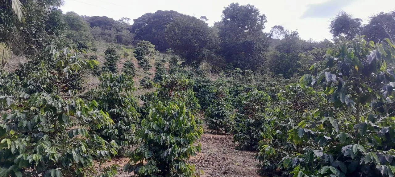 Terreno em Paraju, Domingos Martins-ES 