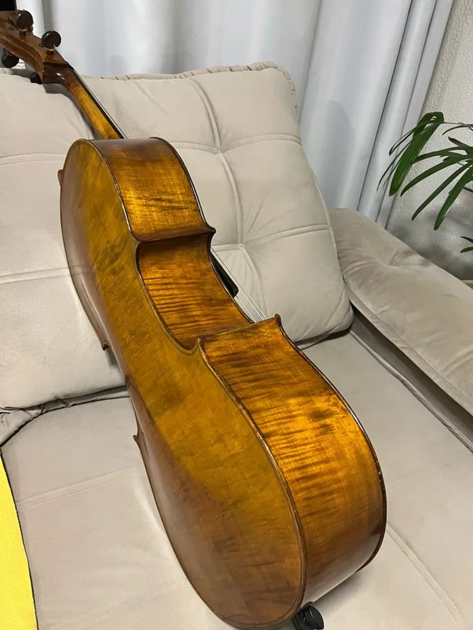 Violoncelo  - Foto 2
