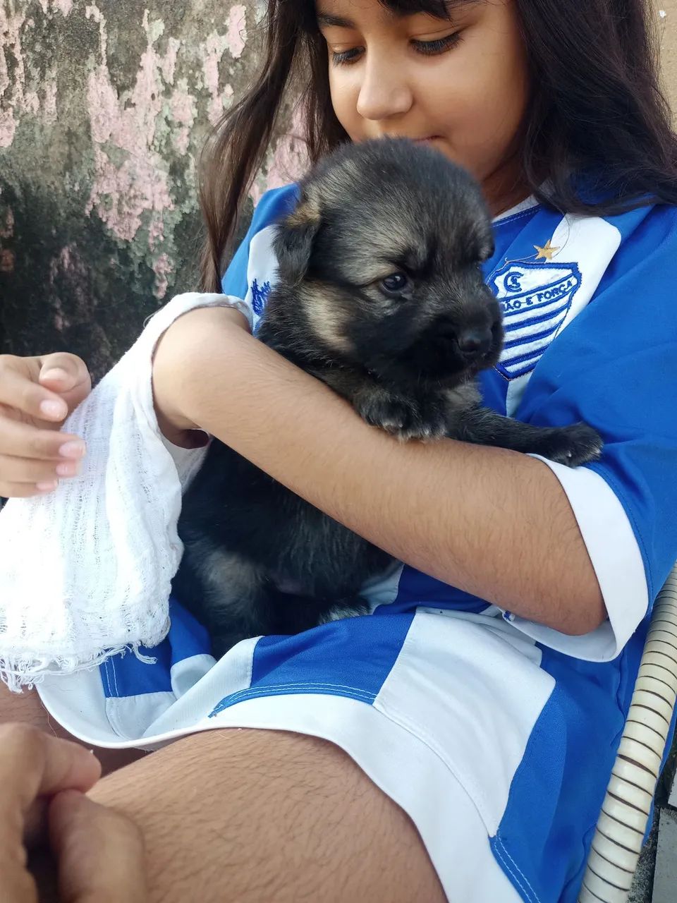 Filhotes de pastor Alemão - Foto 2