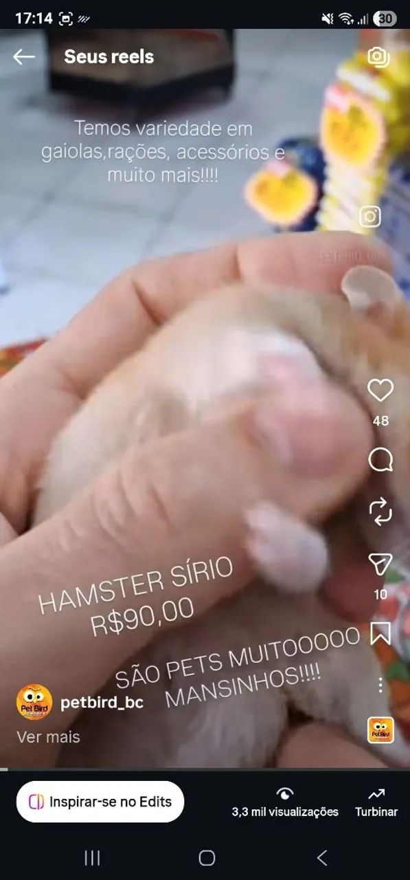 Hamster gerbil twister  PET BIRD AGROPET BALNEARIO CAMBORIÚ - Foto 2