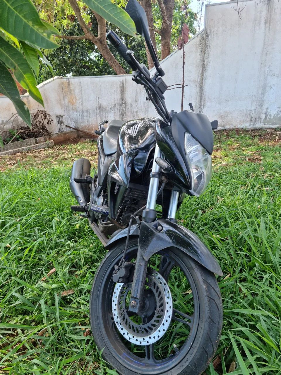 Cb 300 r flex  - Foto 3
