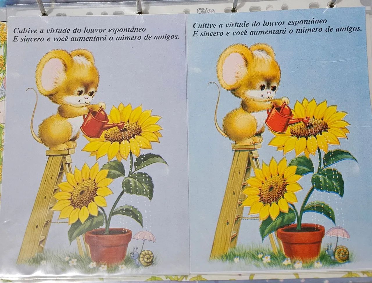 Papel de carta  - Foto 3