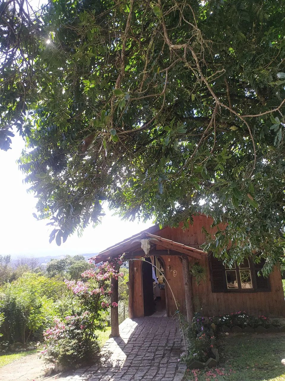 Vendo terreno sítio chácara  - Foto 3