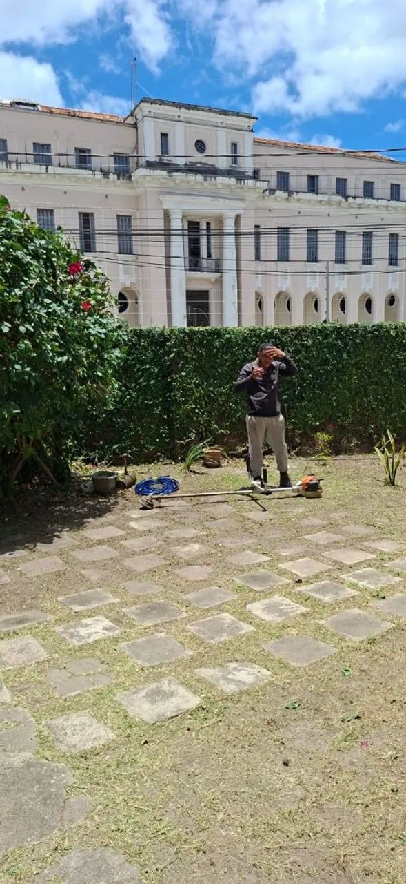 Corte árvores  aplicação  de veneno  capina e roçagem  - Foto 4