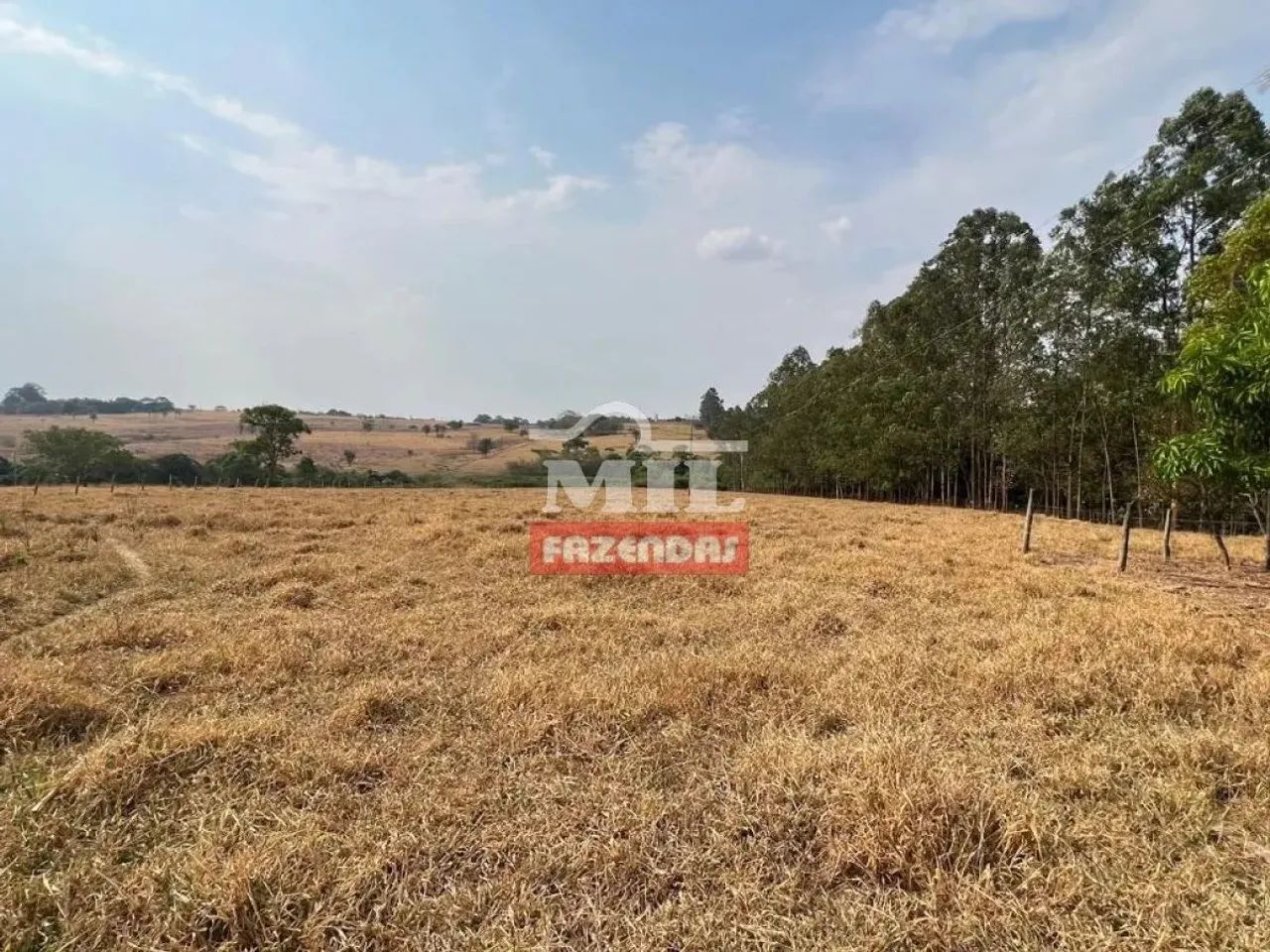 Chácara (26.000 m2) Nova Veneza - GO - Foto 5