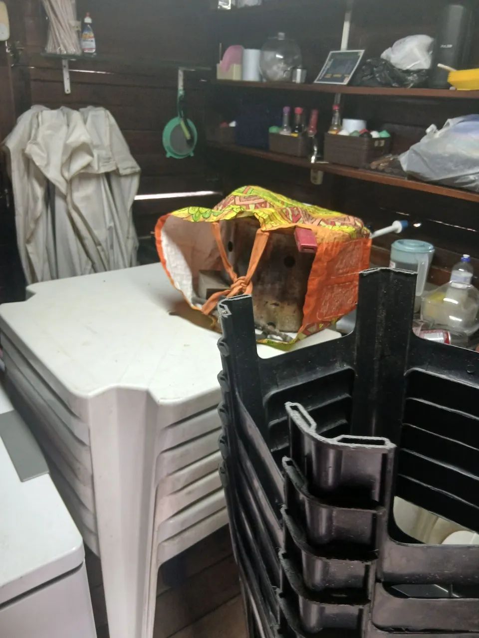 Quiosque para vender.  Para você abrir seu próprio negócio completo.  - Foto 4