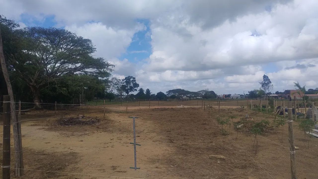 Vendo  negócio 