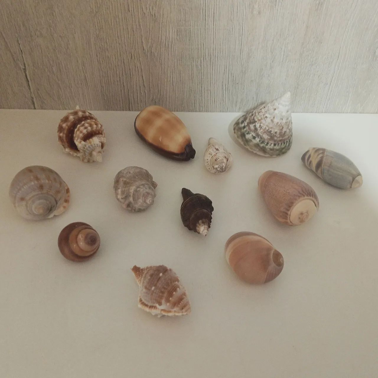 Enfeites para casa - Foto 2