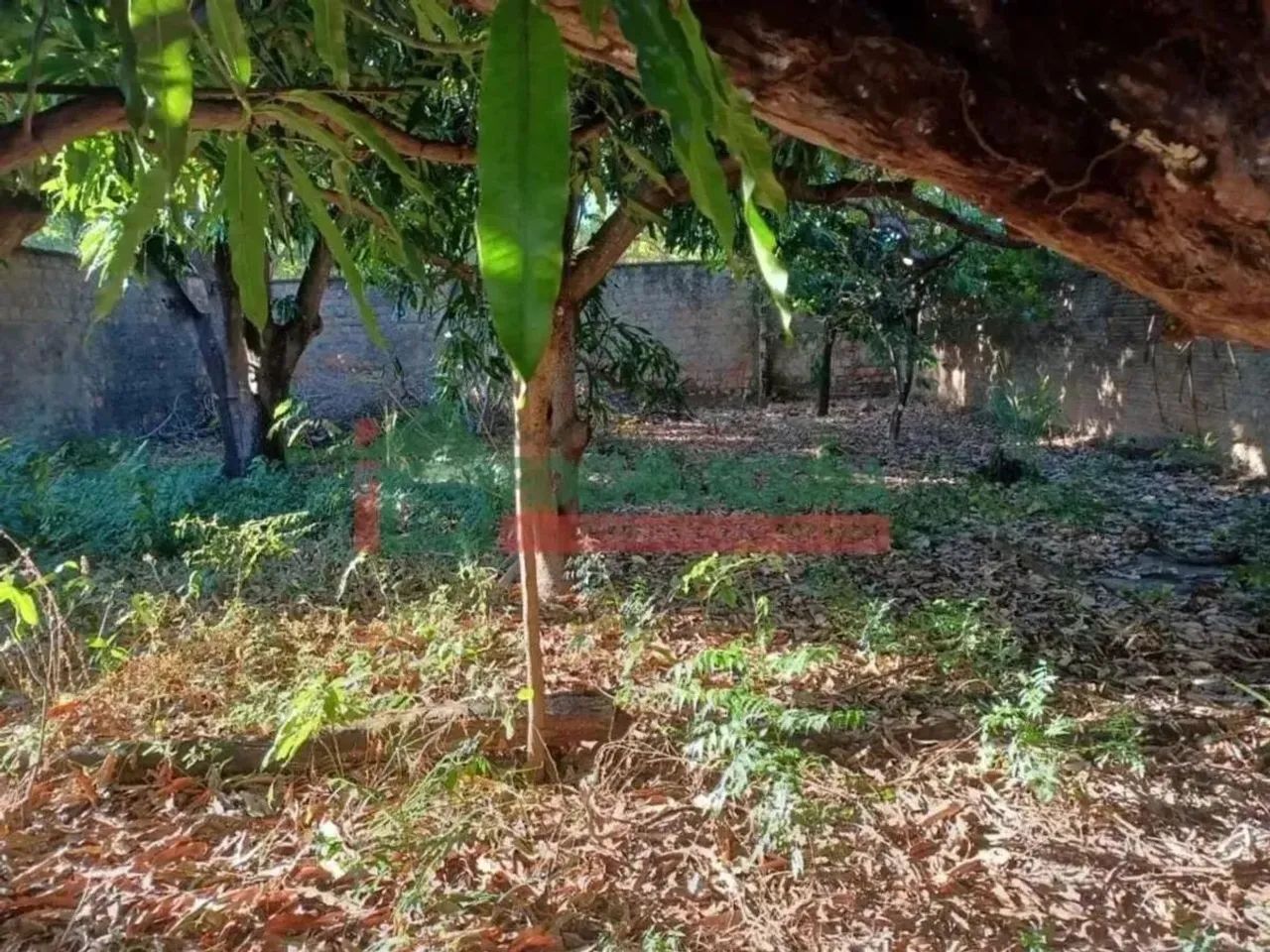 Terreno para alugar com 151,91 metros quadrados no SANTA ISABEL - Teresina - Piauí - Foto 3