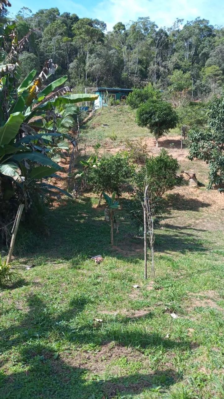 Sitio em Domingos martins 300mil - Foto 3