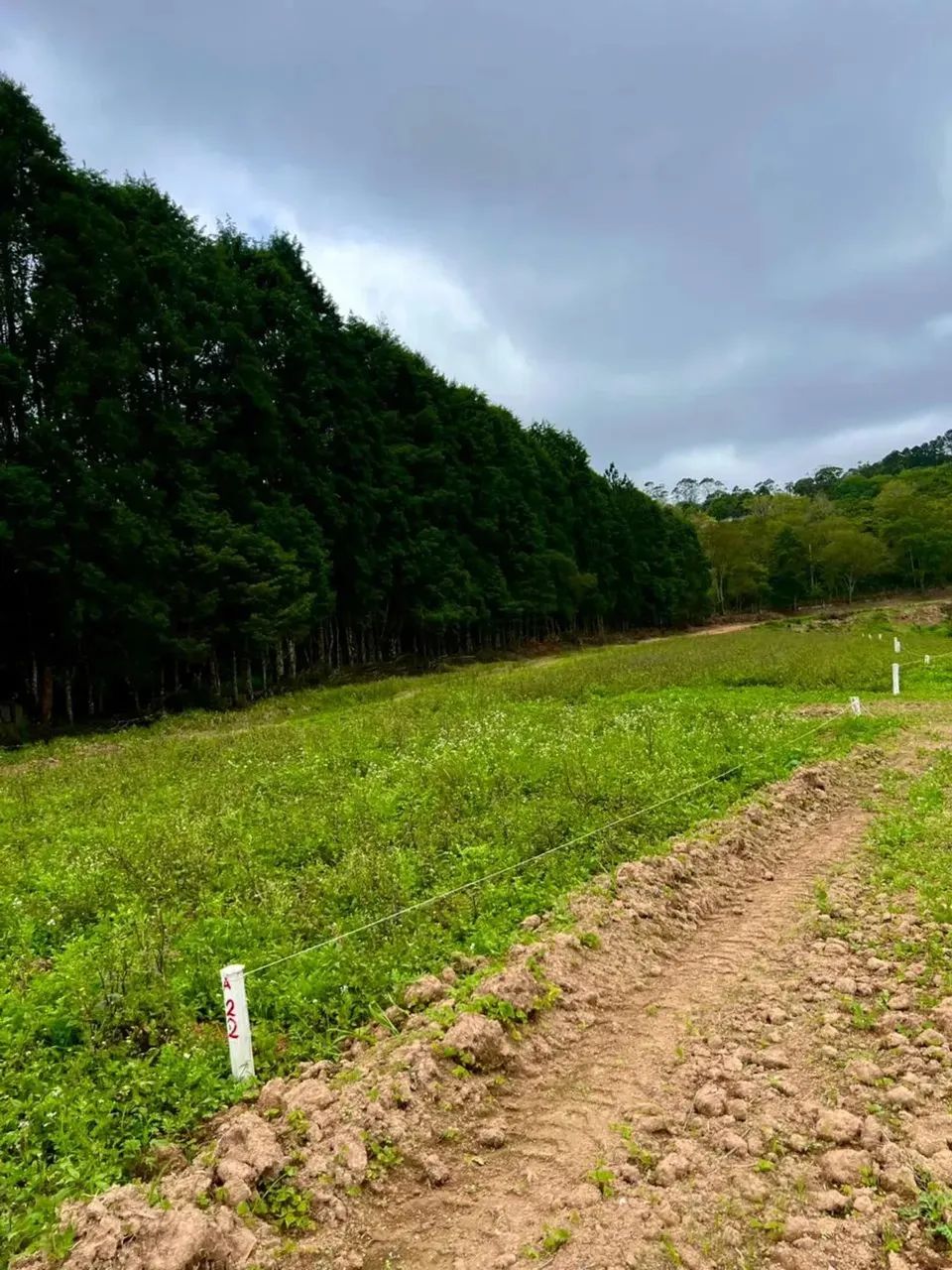 83C- OPORTUNIDADE DE TERRENOS EM COTIA - Foto 9