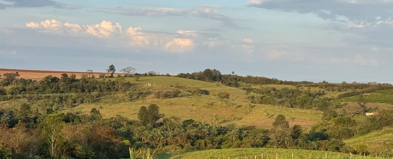 Sítio a venda