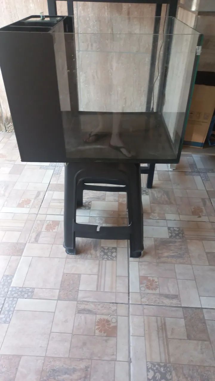 Aquário  - Foto 5