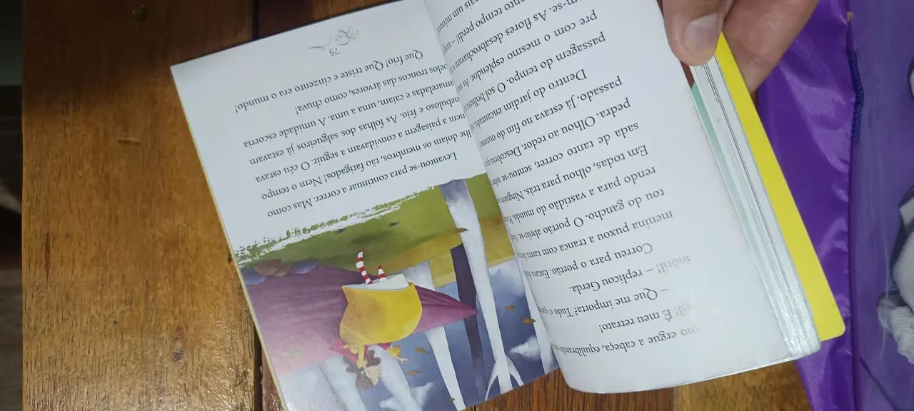 Livro paradidático A Rainha da Neve - Foto 3