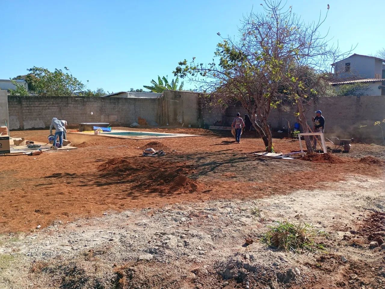 Vendas e plantio  de gramas  - Foto 3