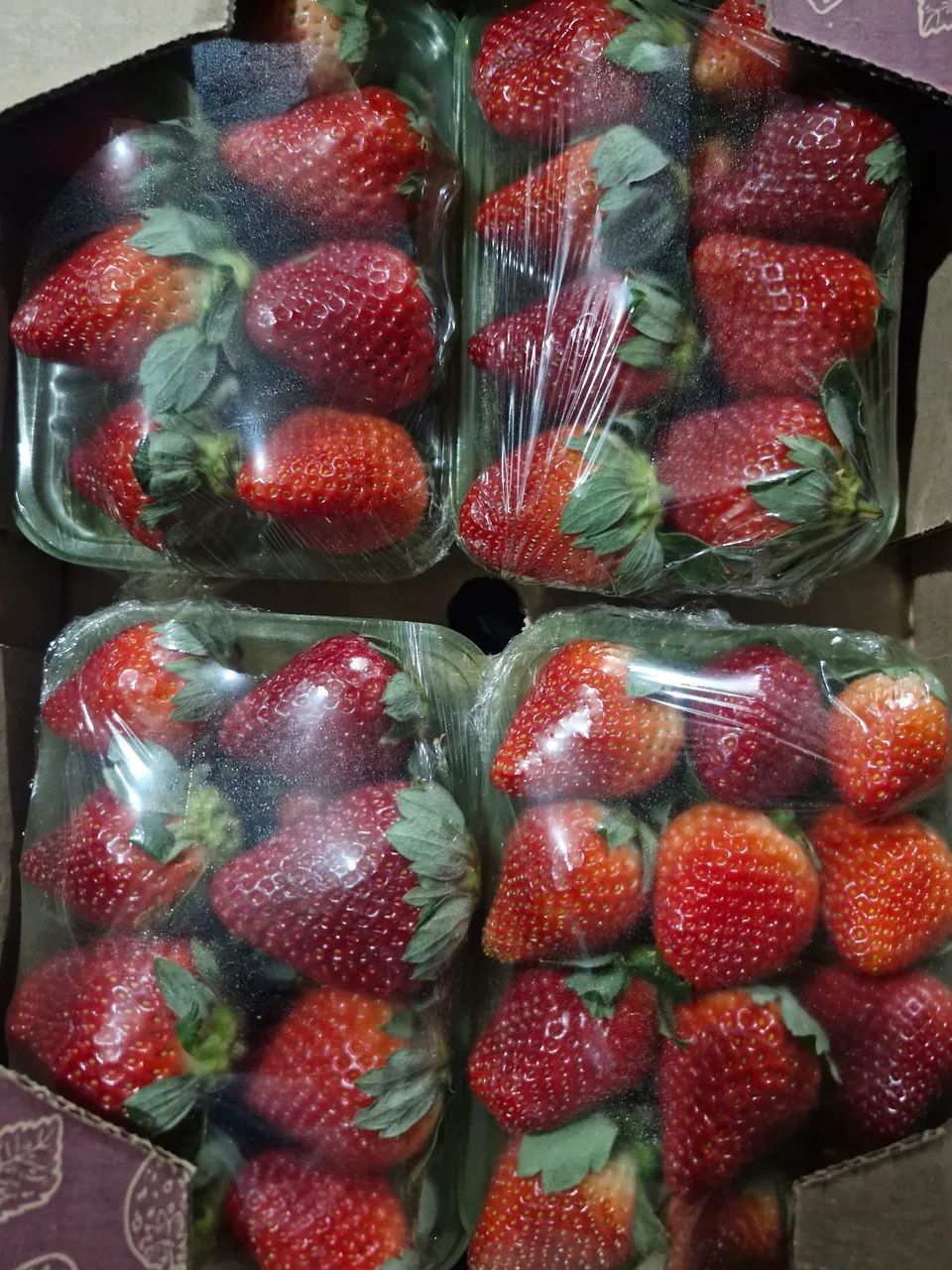Morangos de qualidade  - Foto 3