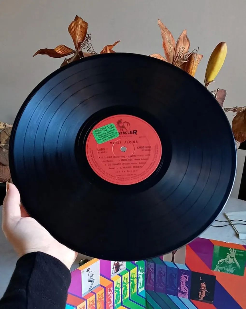 LP Vinil / Maria Alcina / 1973 / com encarte - Foto 2