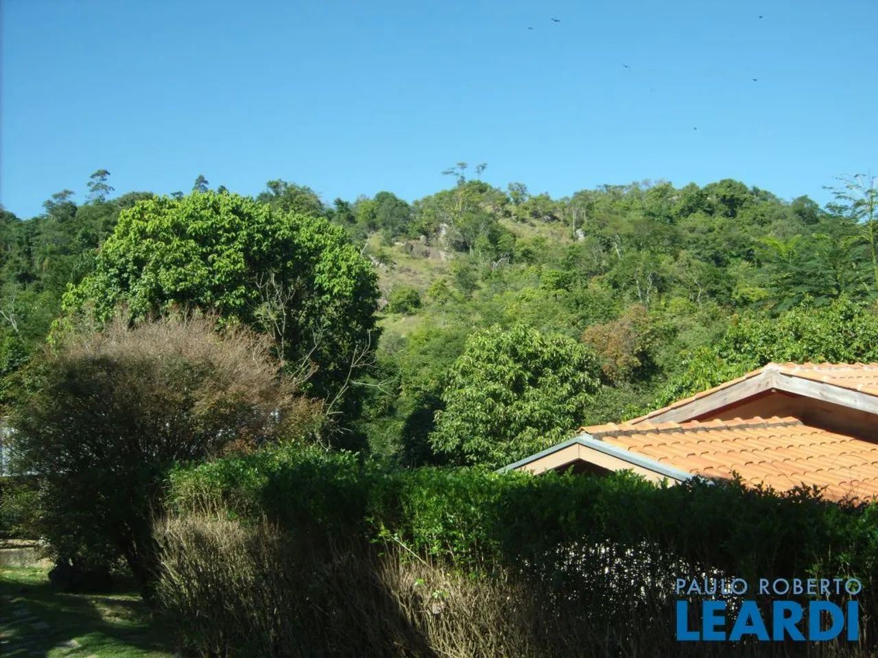 CHACARA - SÍTIOS FRUTAL - SP - Foto 4