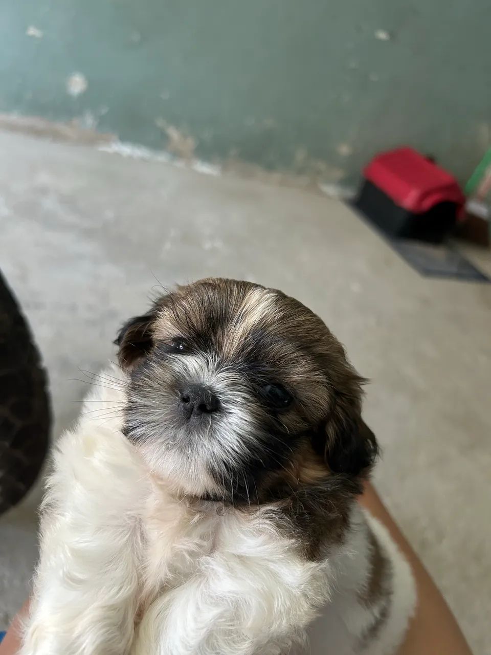 Vendo  - Foto 4