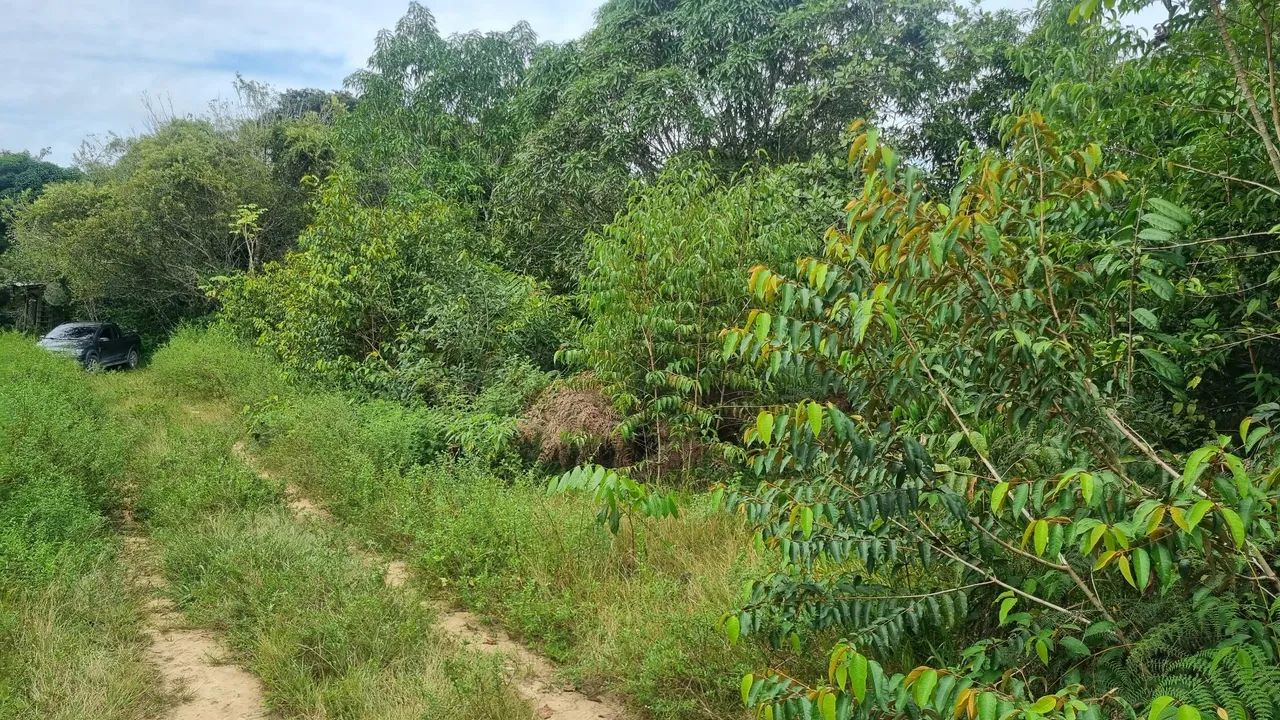 Terreno disponível para venda - Foto 2