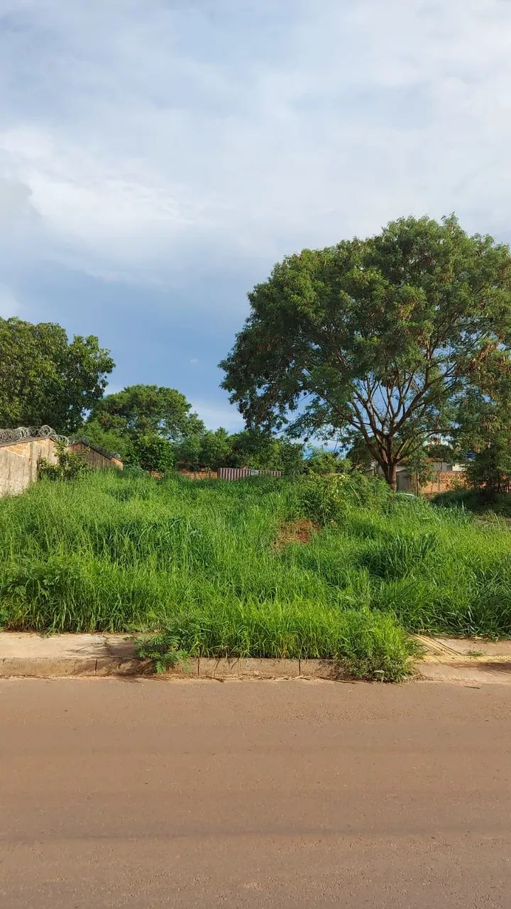 Lote - Setor Pontal Sul - Foto 5