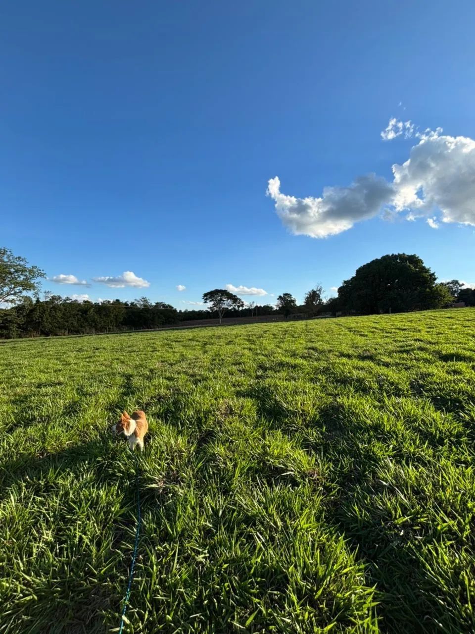 Vende se FAZENDA  - Foto 2