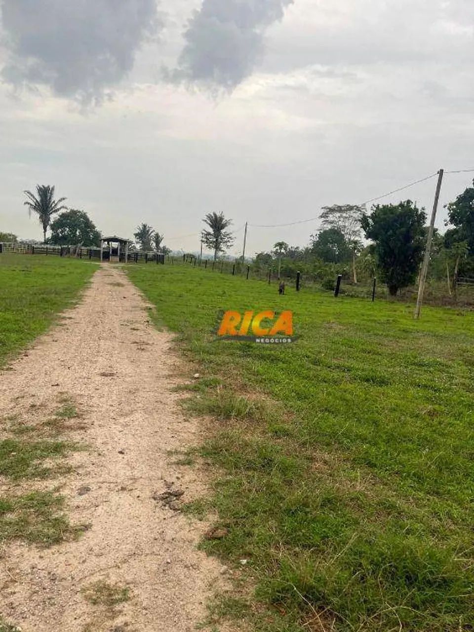 Vende-se excelente sítio em Urupá-RO - Foto 5