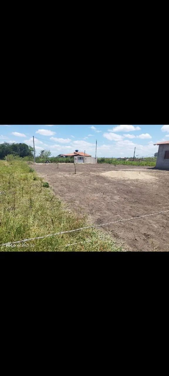 Vendo propriedade em Anadia  - Foto 3