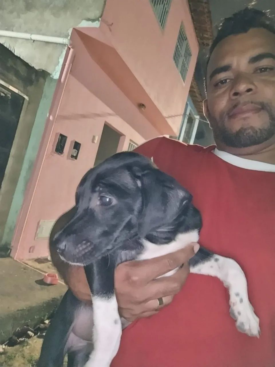Cachorro  - Foto 5