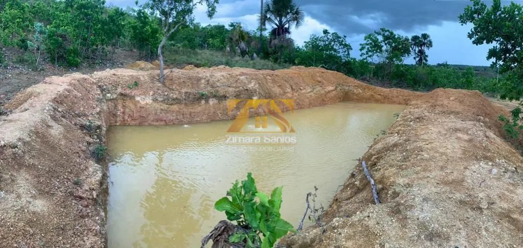 Fazenda com 3 Quartos à Venda - Aparecida do Rio Negro - Foto 2
