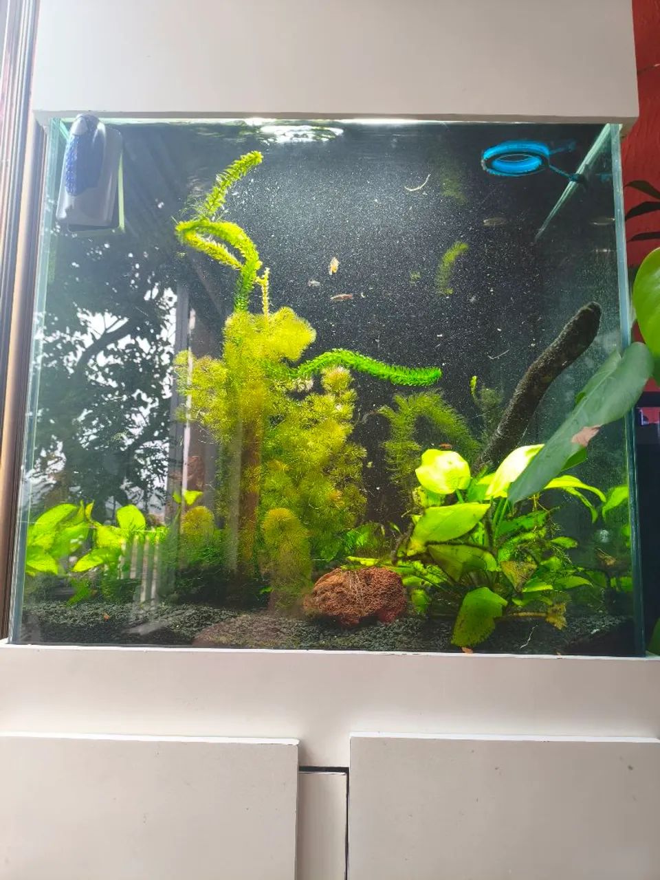 Aquário 200 litros, completo com móvel + sump + acessórios. - Foto 2